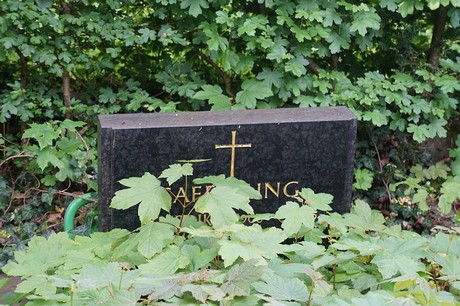 Bad Godesberg